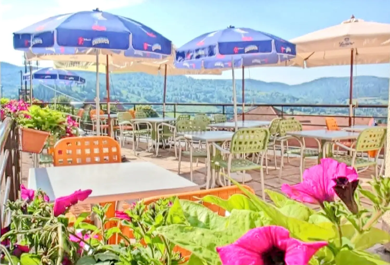  for sale commercial Le Tholy Vosges 5