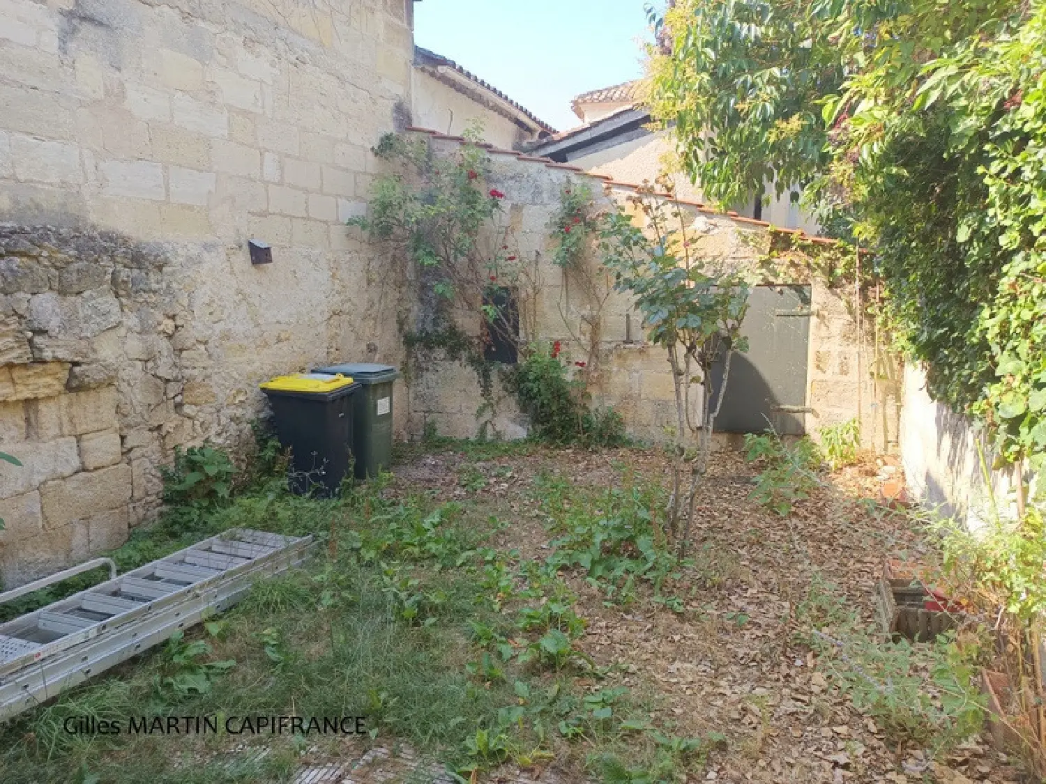  te koop bedrijfsruimte/ kantoor Sainte-Terre Gironde 7
