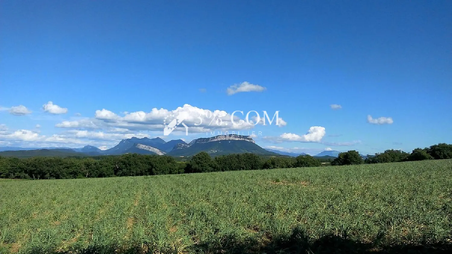  à vendre propriété Autichamp Drôme 3