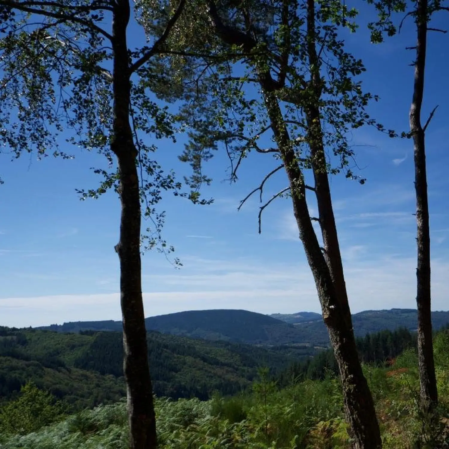  en venta finca rústica Égletons Corrèze 8