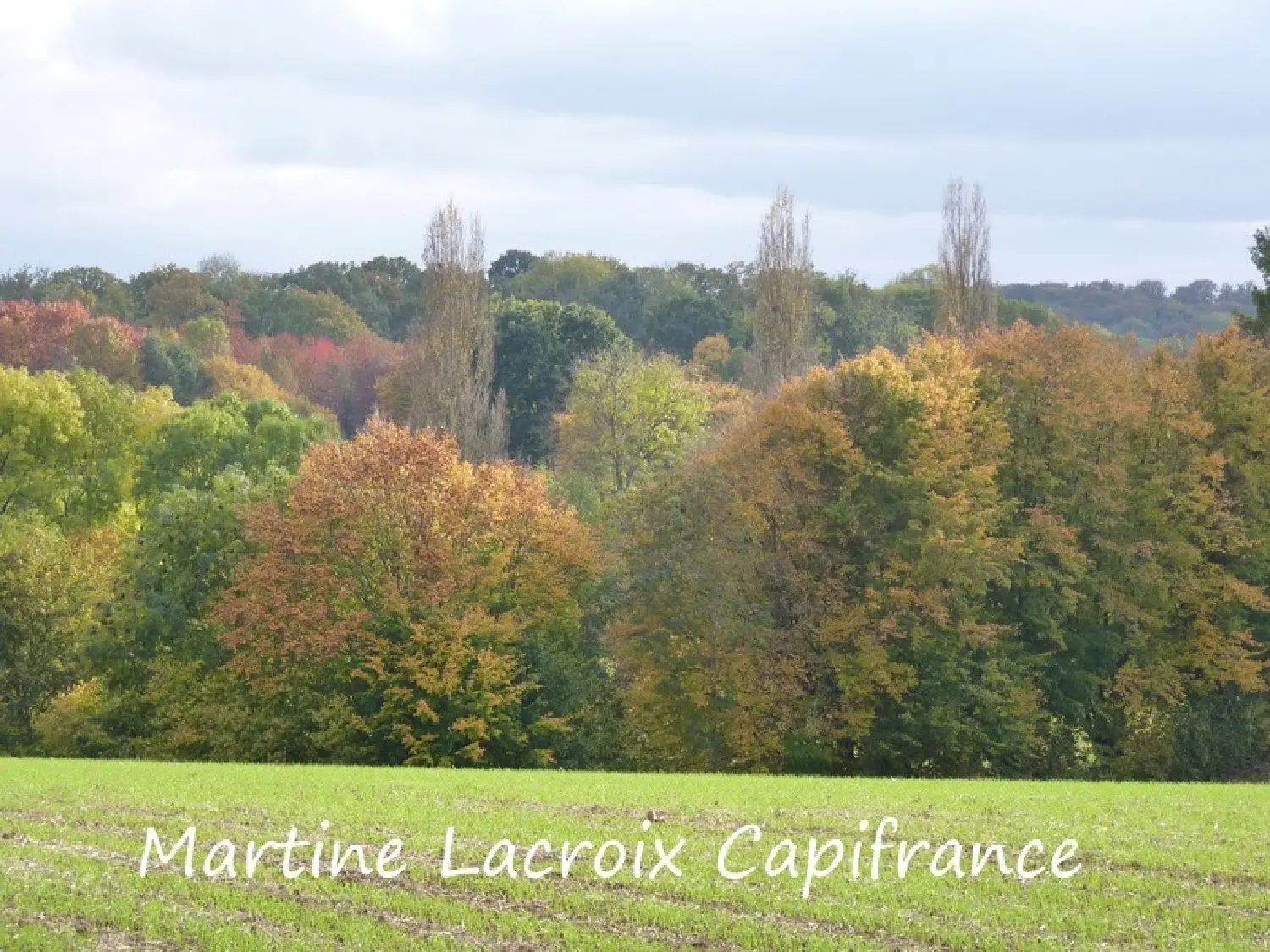  te koop landgoed La Ferté-Bernard Sarthe 2