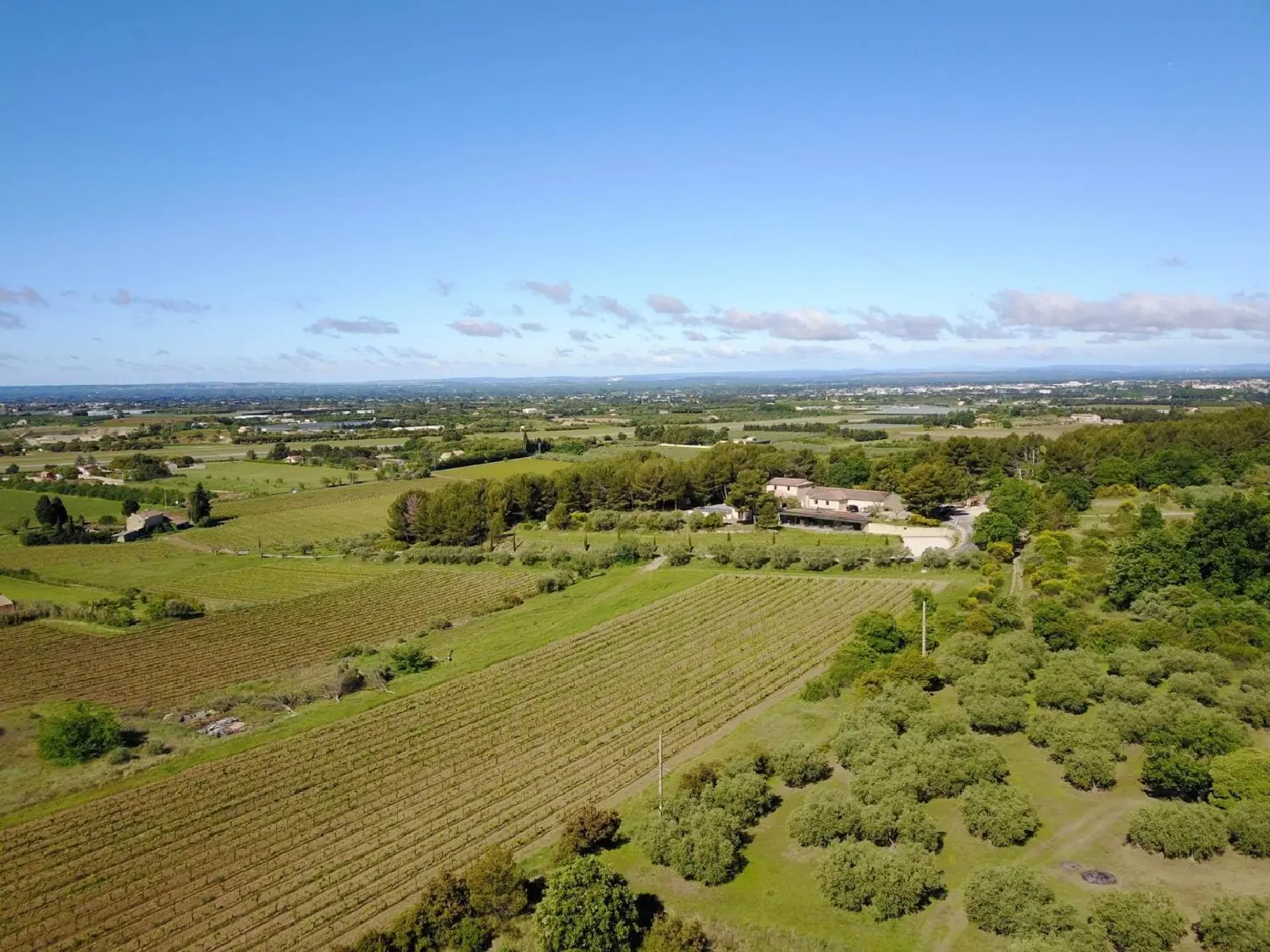  for sale estate Mazan Vaucluse 2