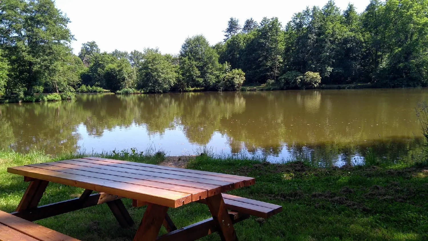 en venta finca rústica Meilhac Haute-Vienne 2