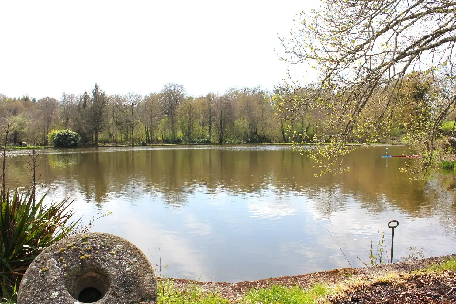  en venta finca rústica Meilhac Haute-Vienne 5