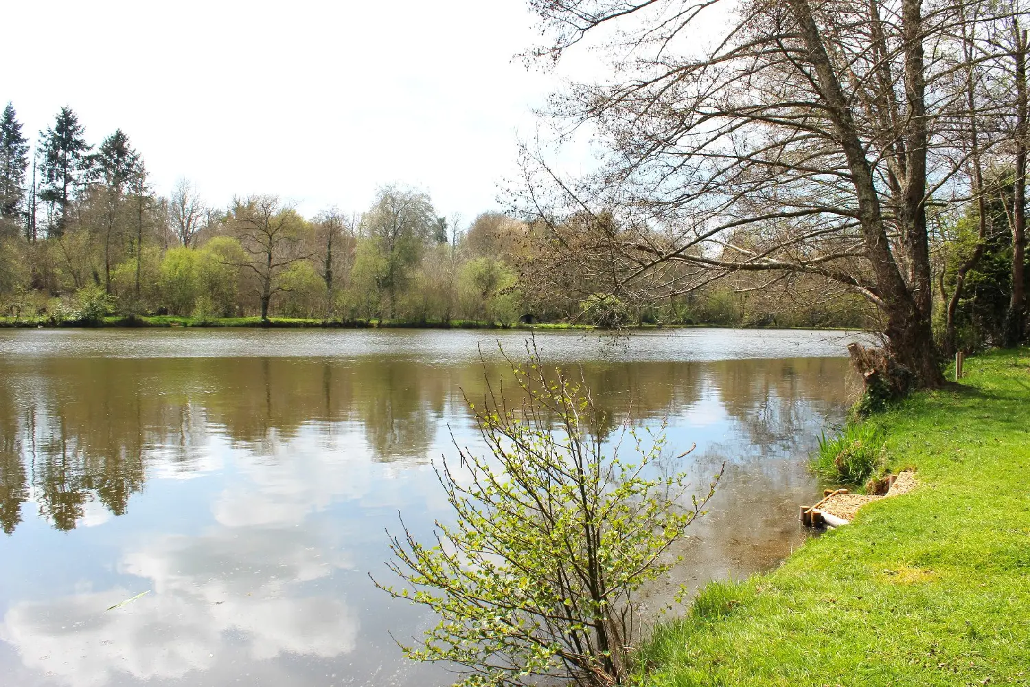 en venta finca rústica Meilhac Haute-Vienne 6
