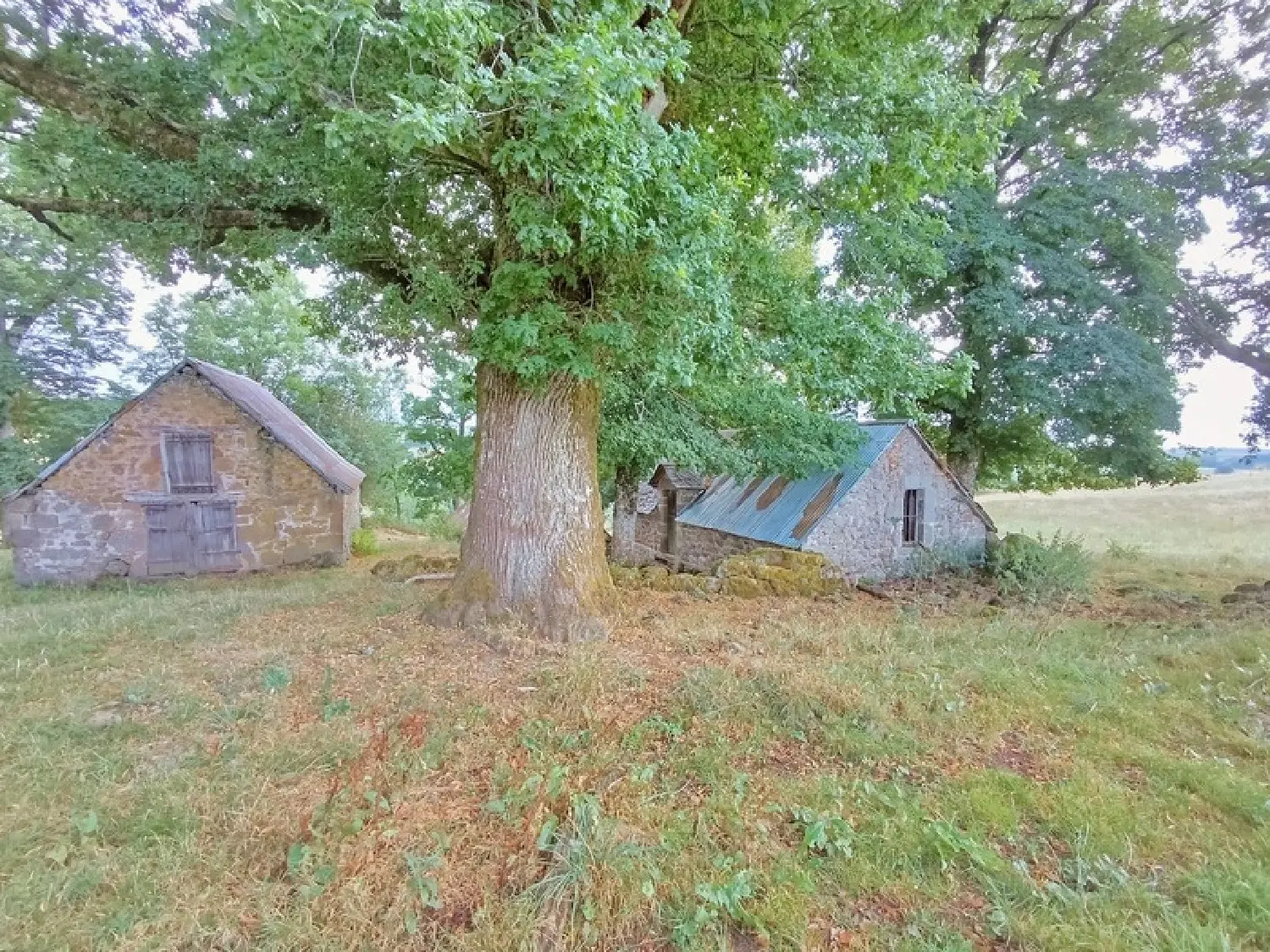  kaufen Landgut Saint-Martin-Valmeroux Cantal 3