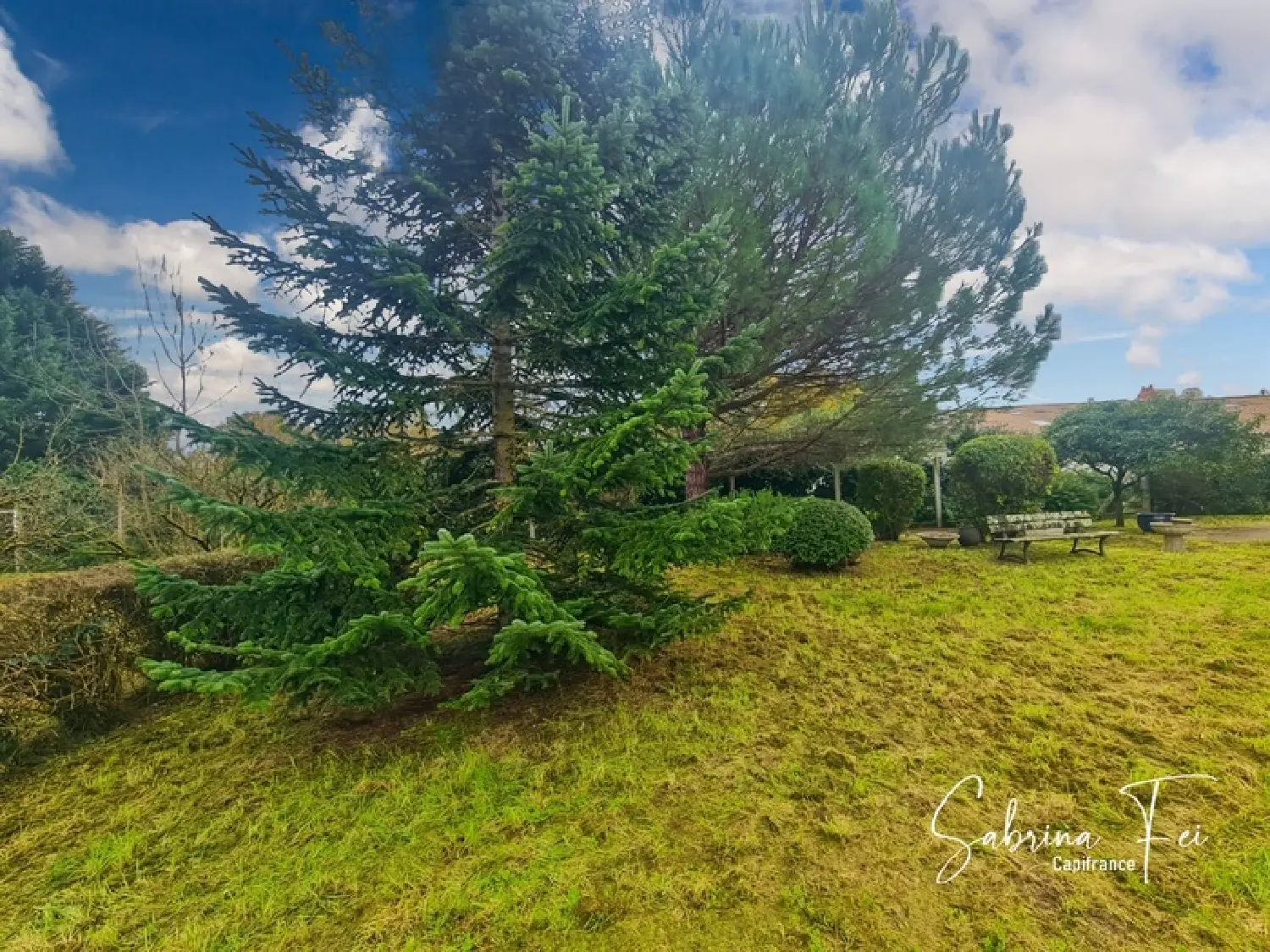  en venta finca rústica Saint-Médard-d'Aunis Charente-Maritime 4