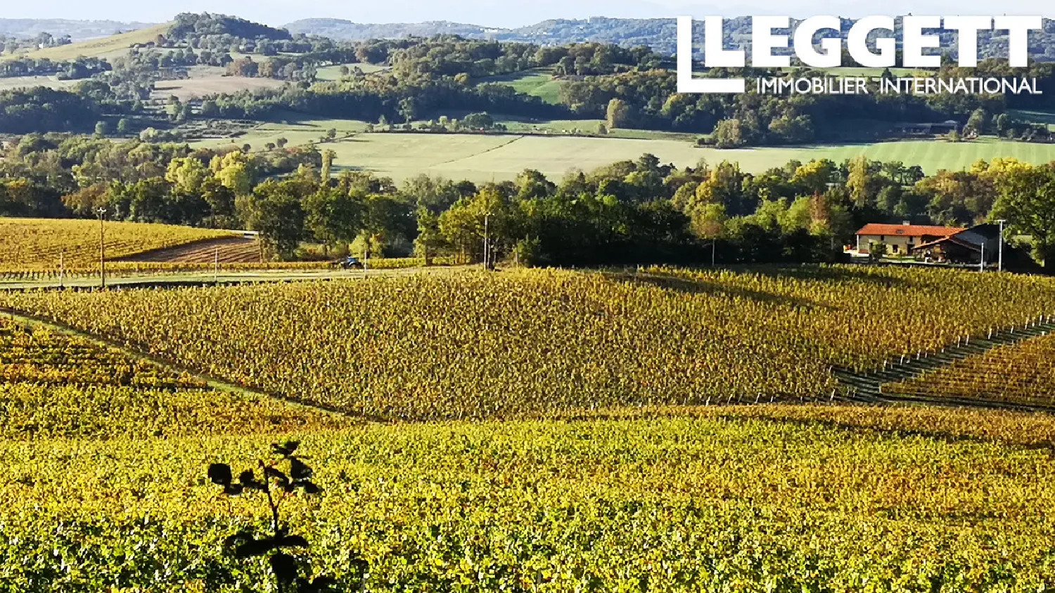  te koop landgoed Saint-Mont Gers 3