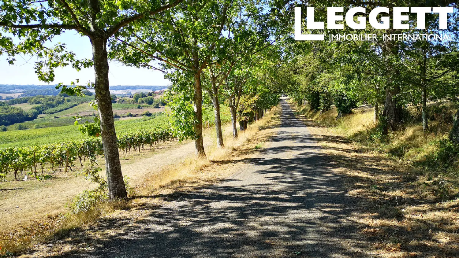  te koop landgoed Saint-Mont Gers 4