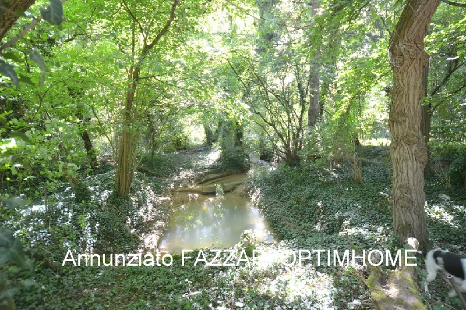 te koop landgoed Stenay Meuse 1