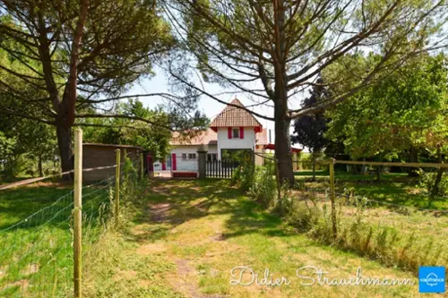 Surgères Charente-Maritime Landgut Bild 7127264