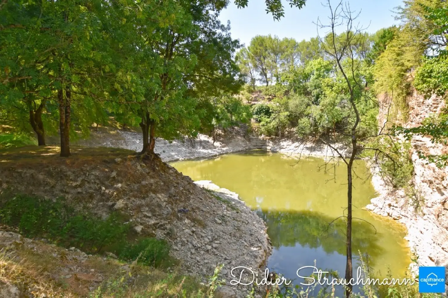  te koop landgoed Surgères Charente-Maritime 2
