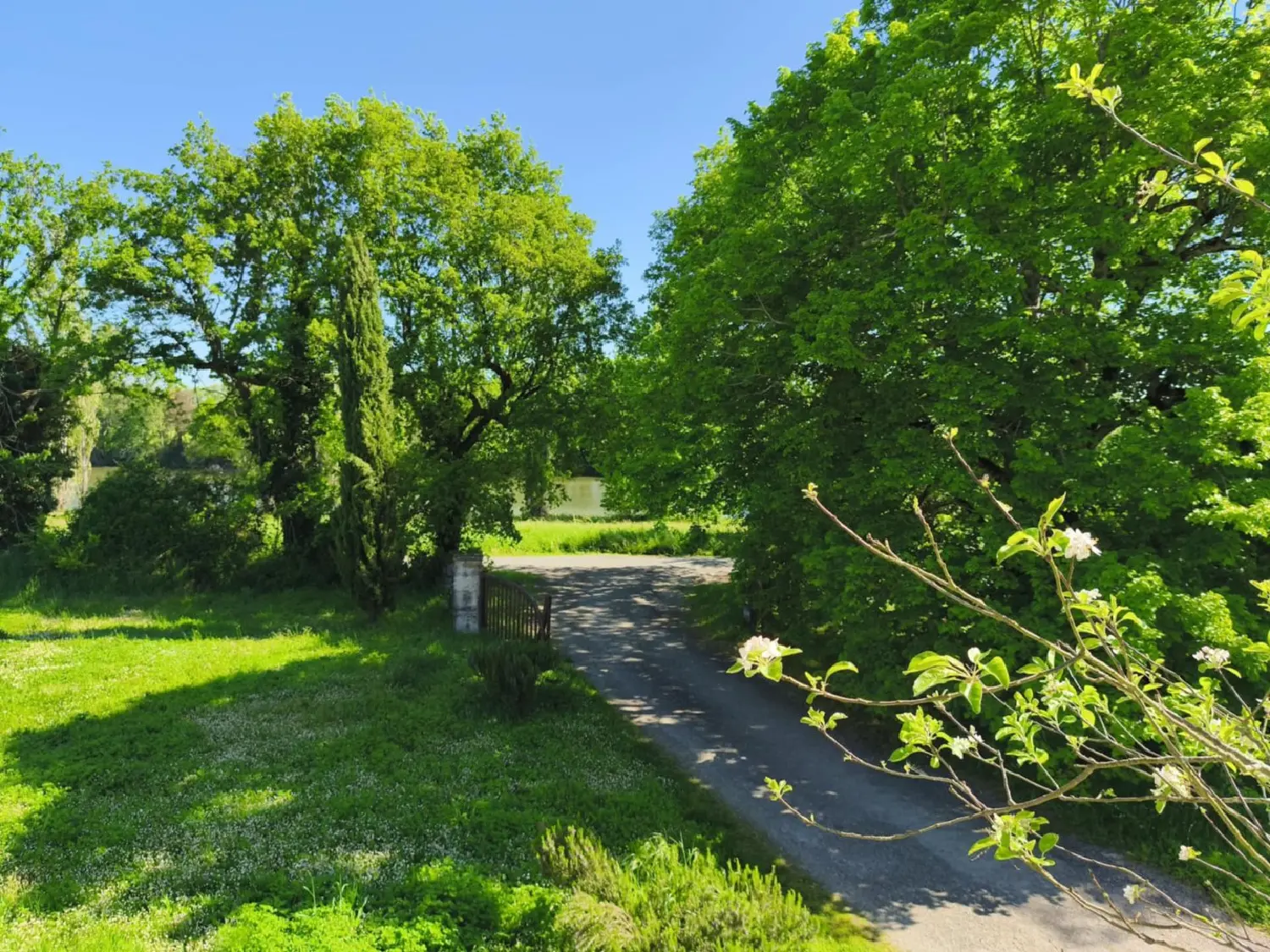  for sale farm Bruniquel Tarn-et-Garonne 8
