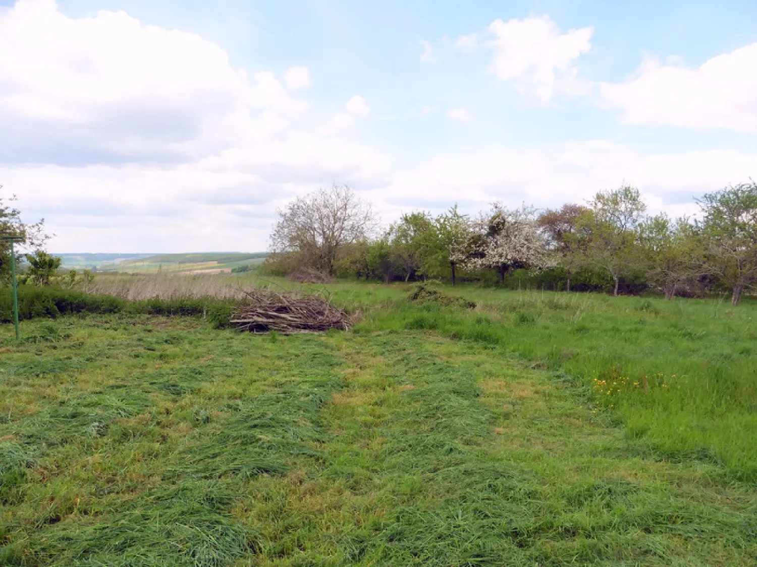en venta casa rústica Cerisiers Yonne 2