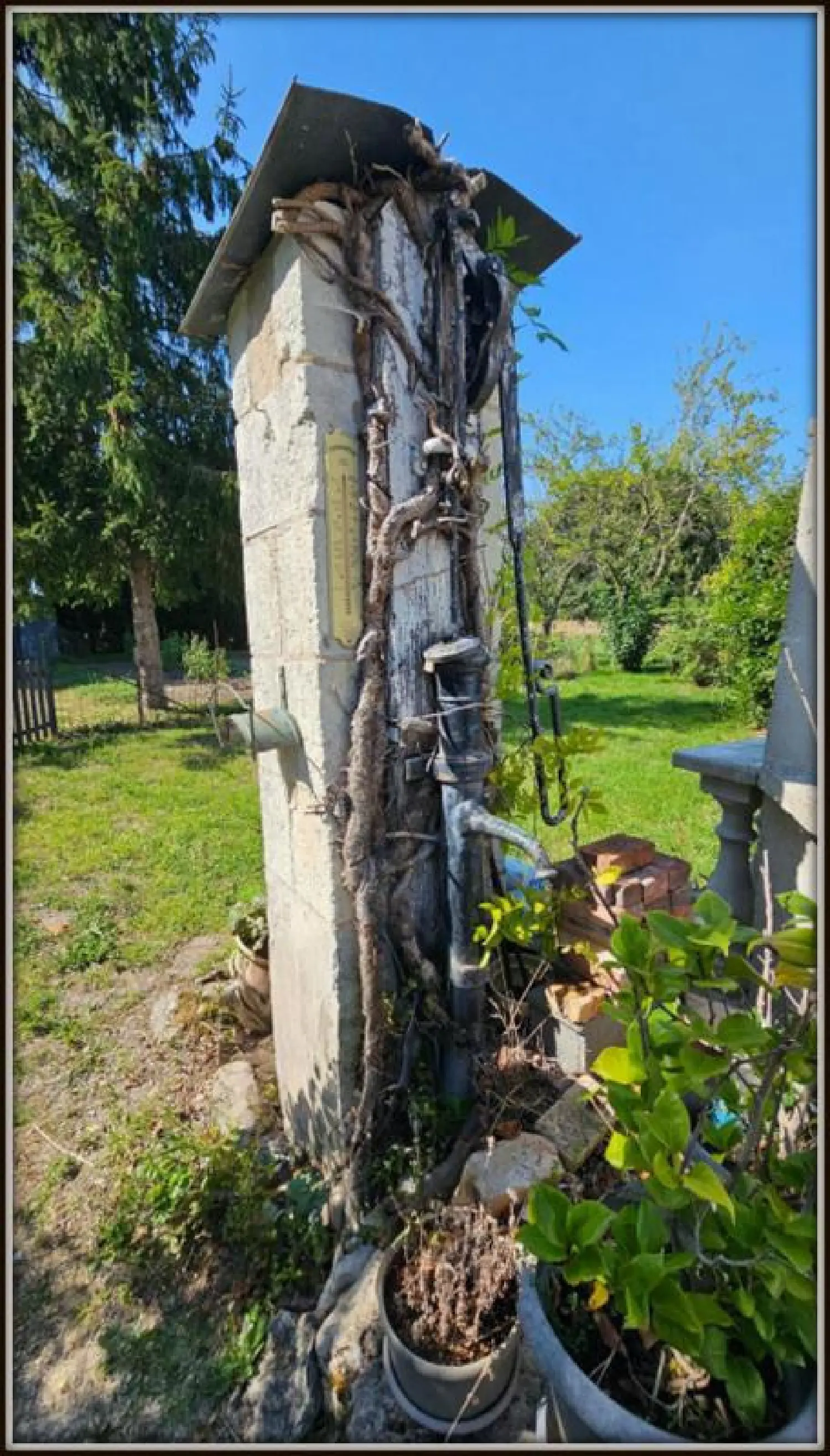  te koop boerderij Château-la-Vallière Indre-et-Loire 6