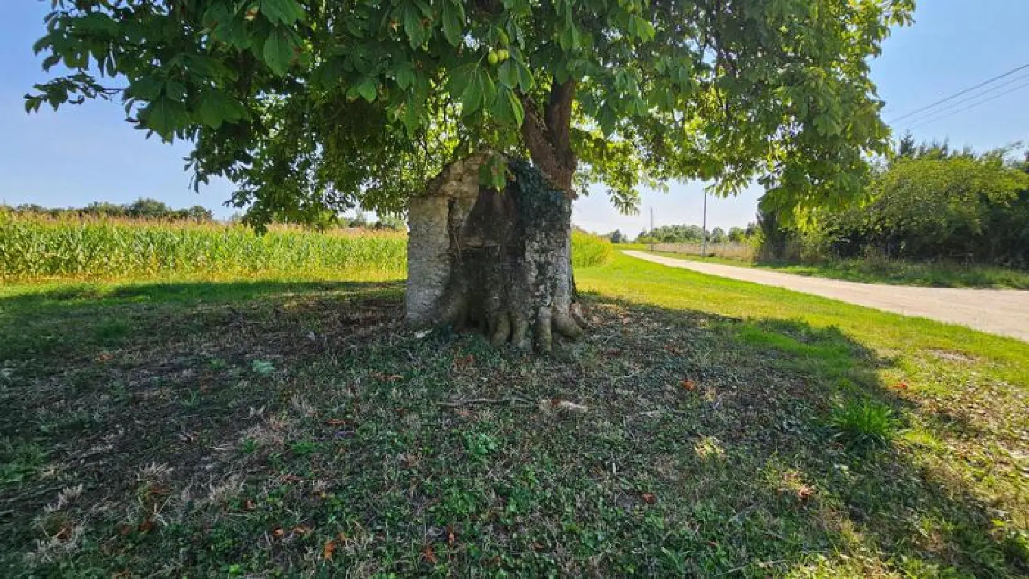  te koop boerderij Château-la-Vallière Indre-et-Loire 7
