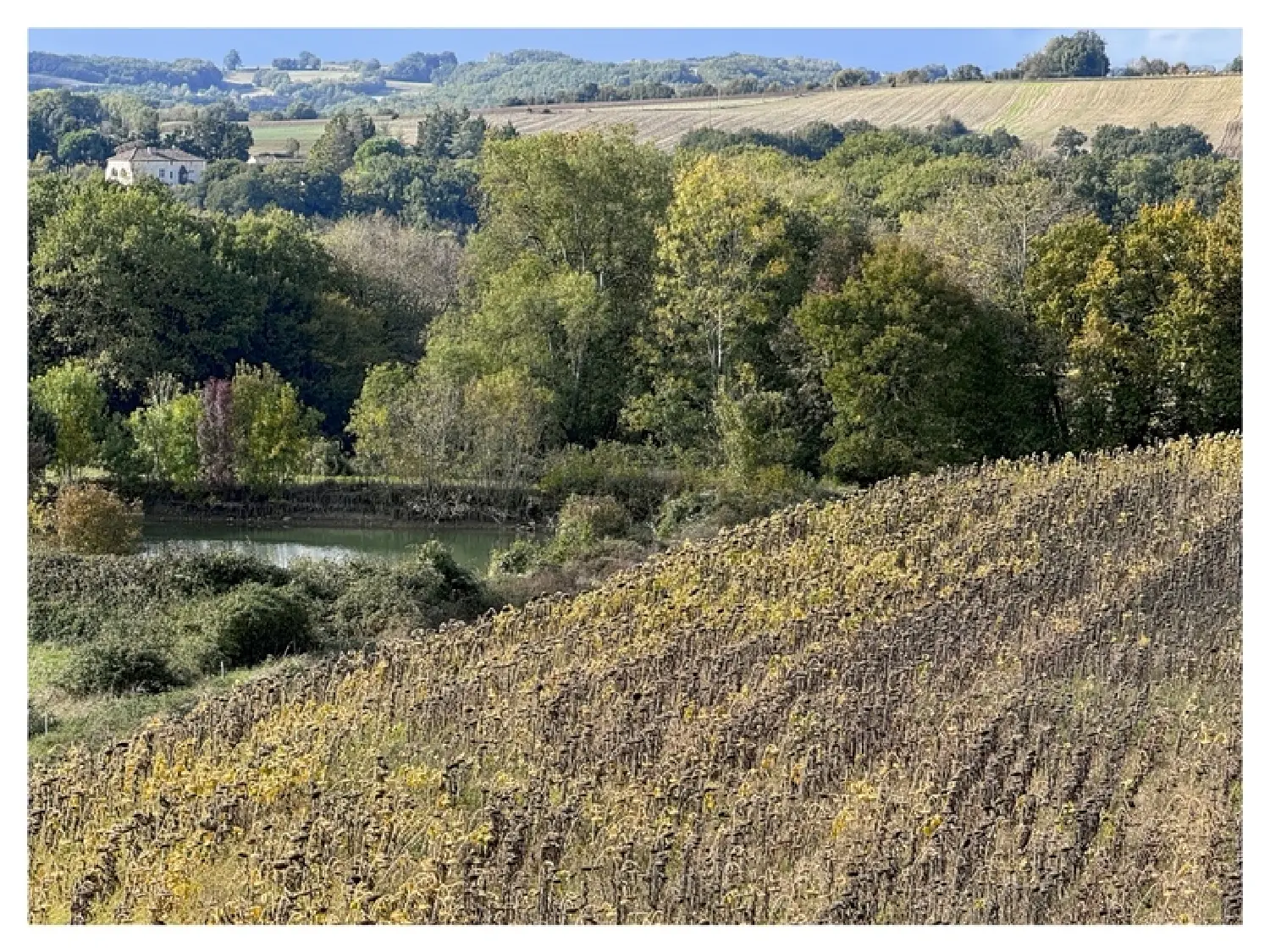  for sale farm Espalais Tarn-et-Garonne 7