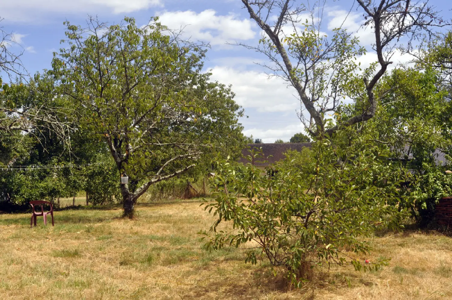  te koop boerderij L'Abergement-de-Cuisery Saône-et-Loire 3