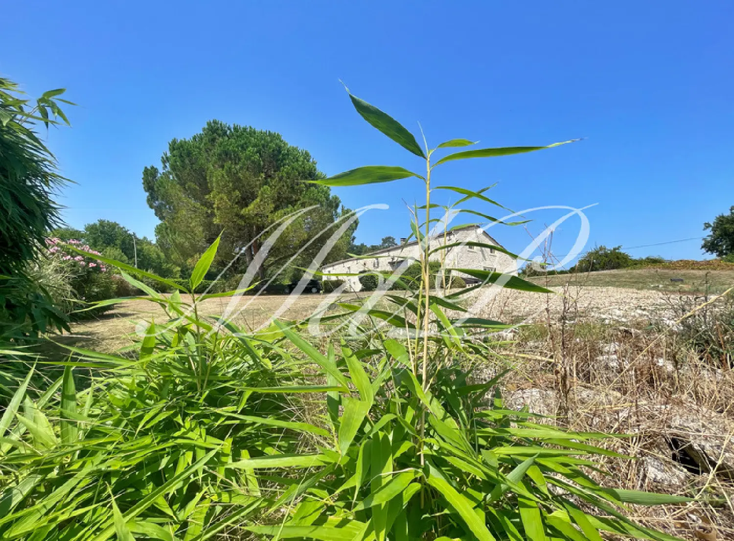  à vendre ferme La Roquille Gironde 4