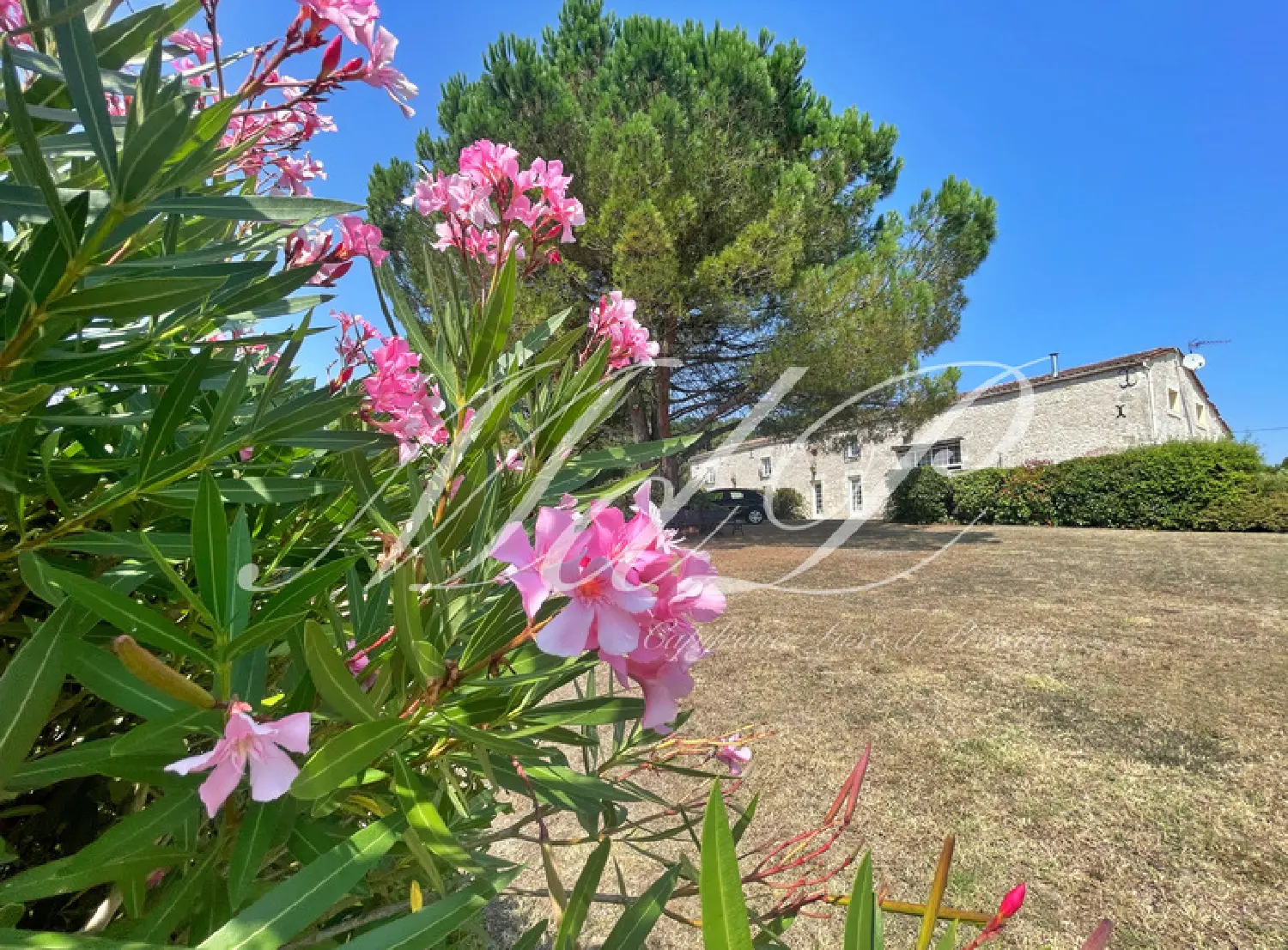  à vendre ferme La Roquille Gironde 6