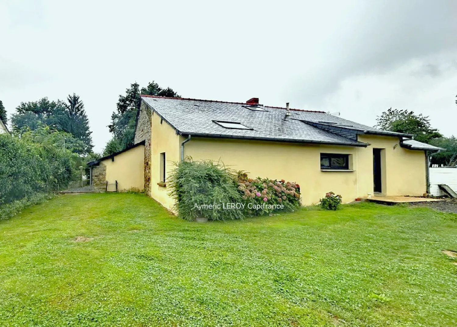  for sale farm La Selle-Guerchaise Ille-et-Vilaine 1