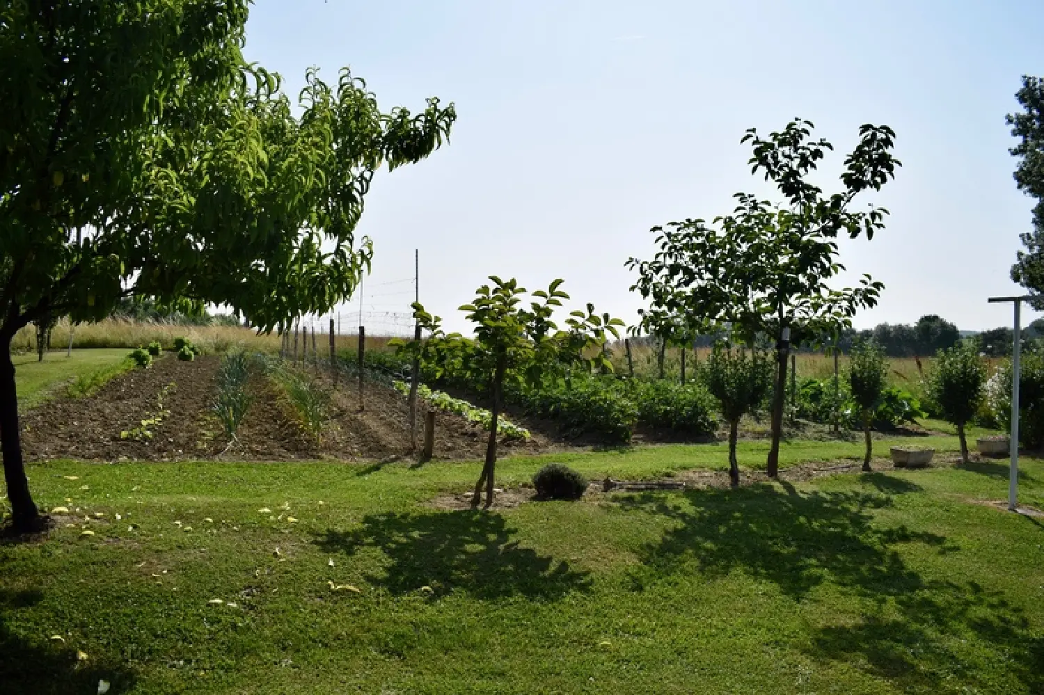  te koop boerderij Lougratte Lot-et-Garonne 5