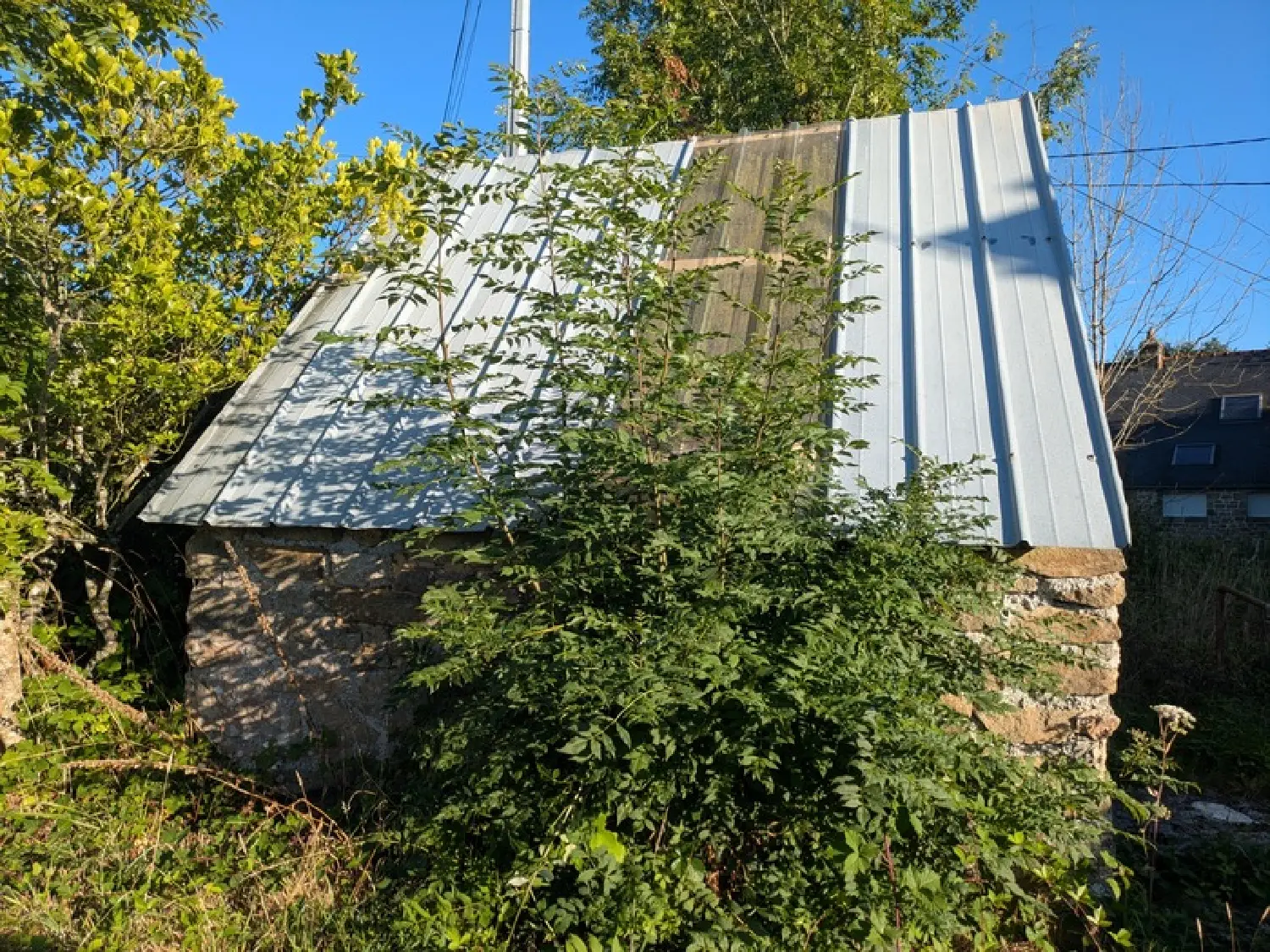  te koop boerderij Mellionnec Côtes-d'Armor 3