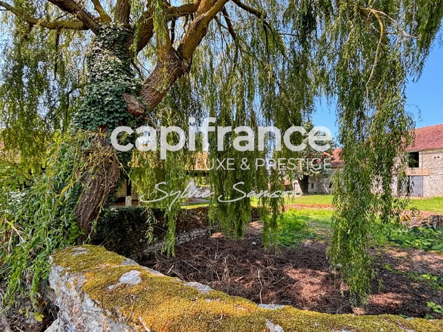  à vendre ferme Perdreauville Yvelines 4
