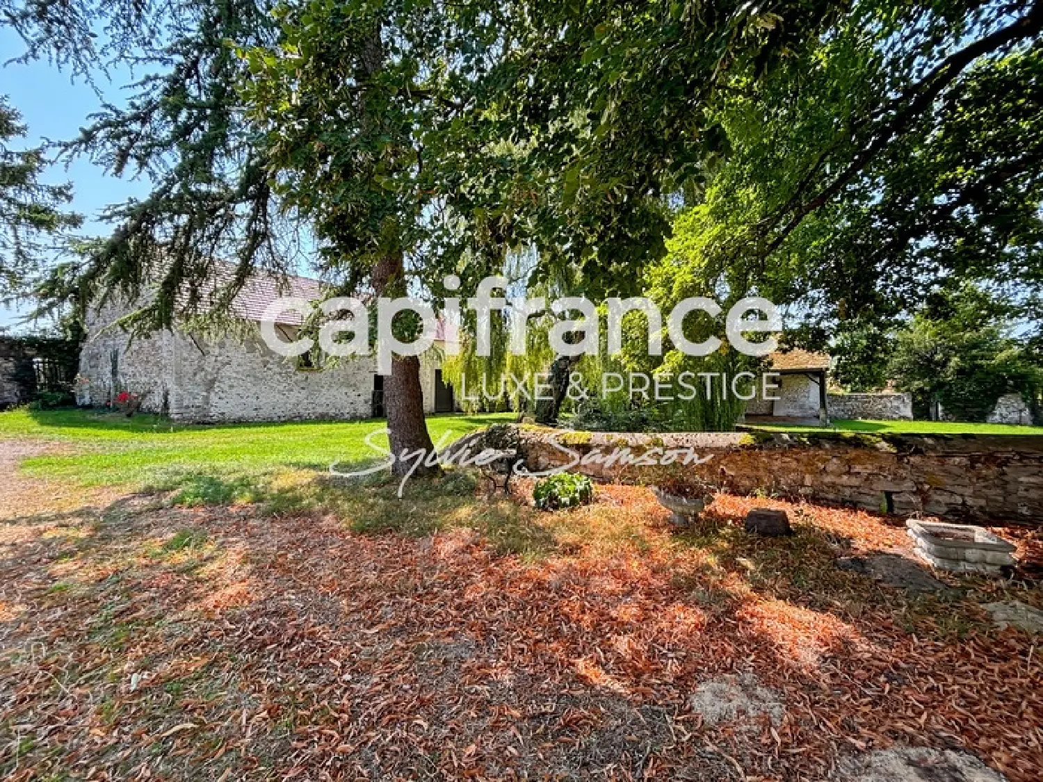  à vendre ferme Perdreauville Yvelines 6