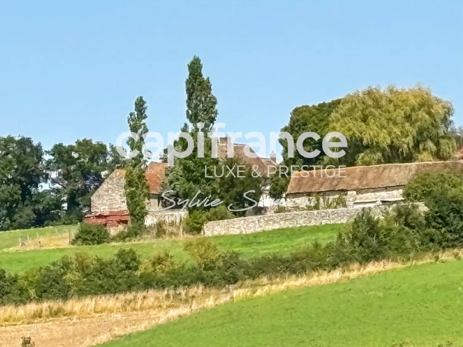  à vendre ferme Perdreauville Yvelines 8