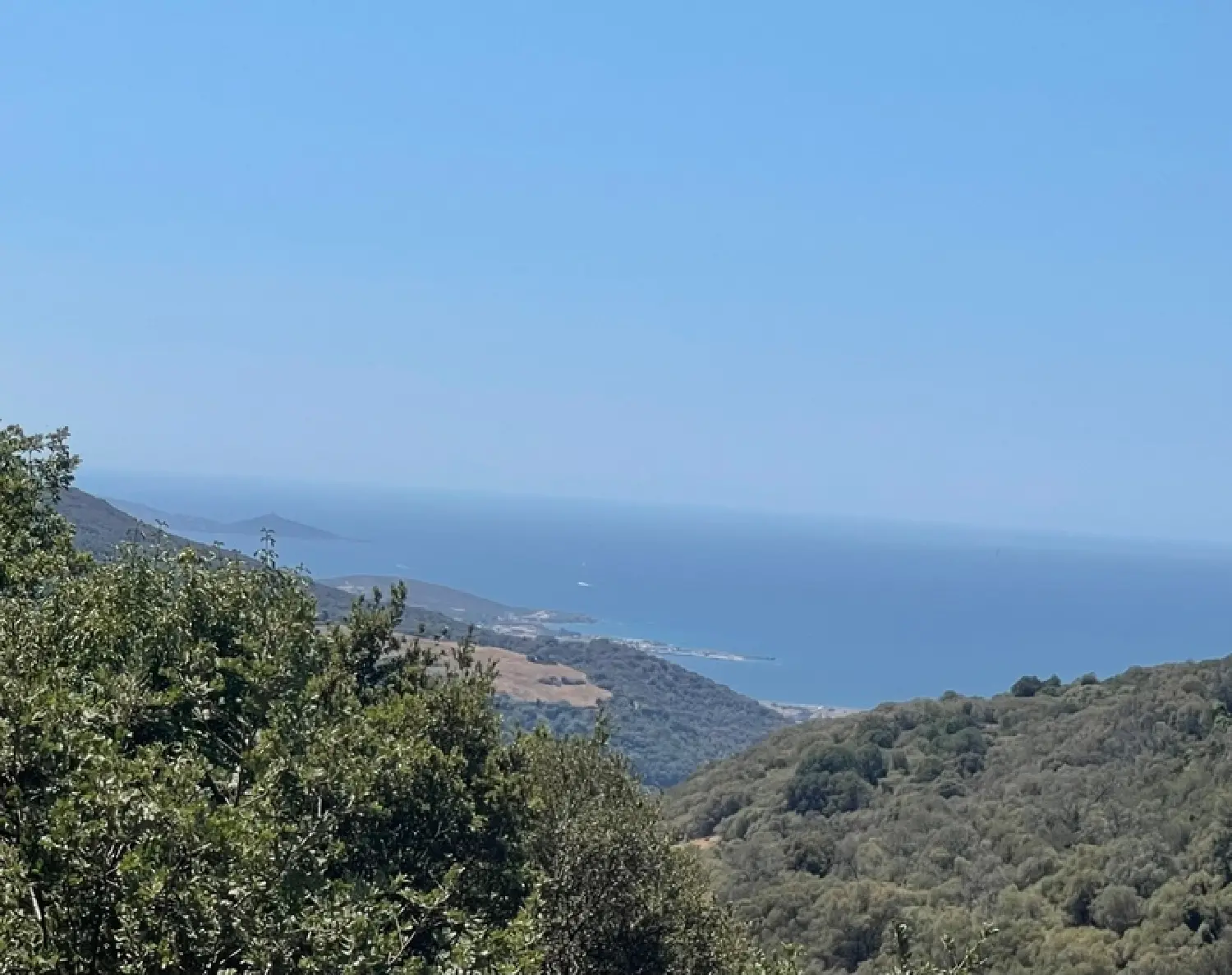  for sale farm Propriano Corse-du-Sud 3