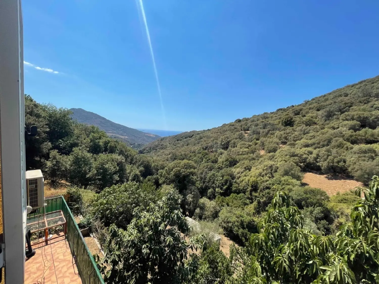  for sale farm Propriano Corse-du-Sud 4