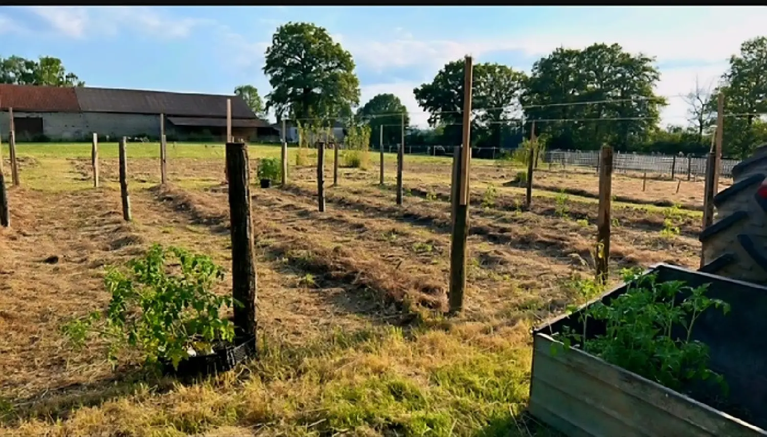  te koop boerderij Saint-Martial-sur-Isop Haute-Vienne 4