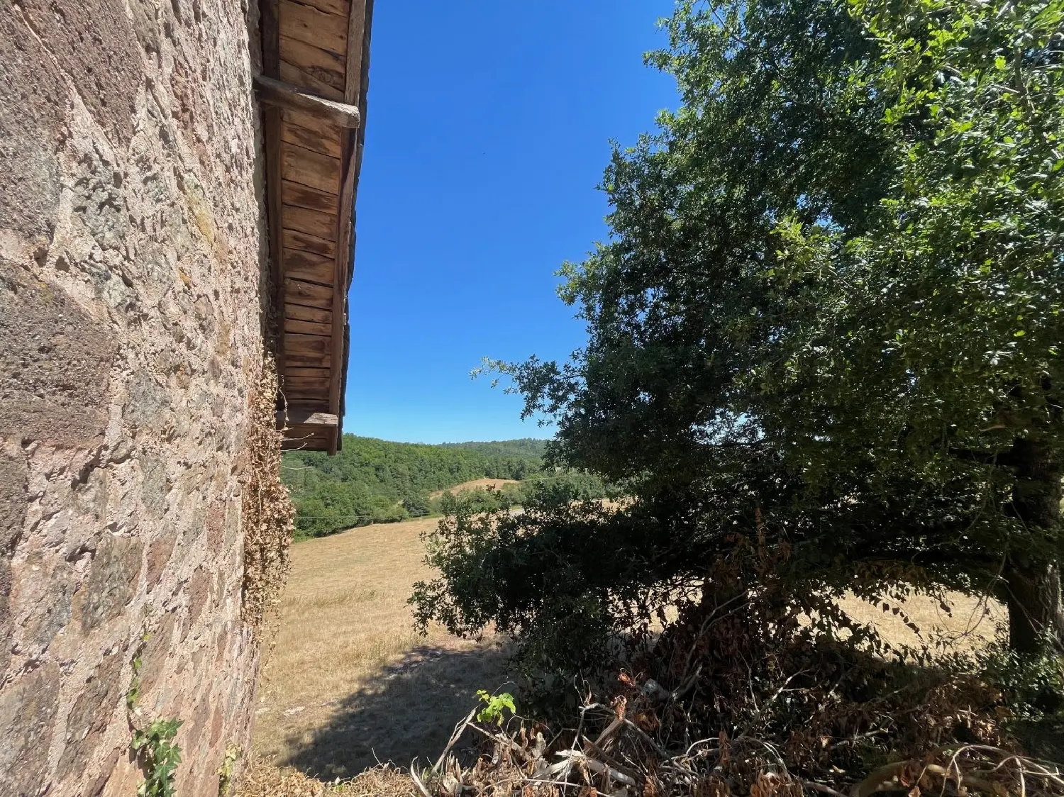  for sale farm Villac Dordogne 5