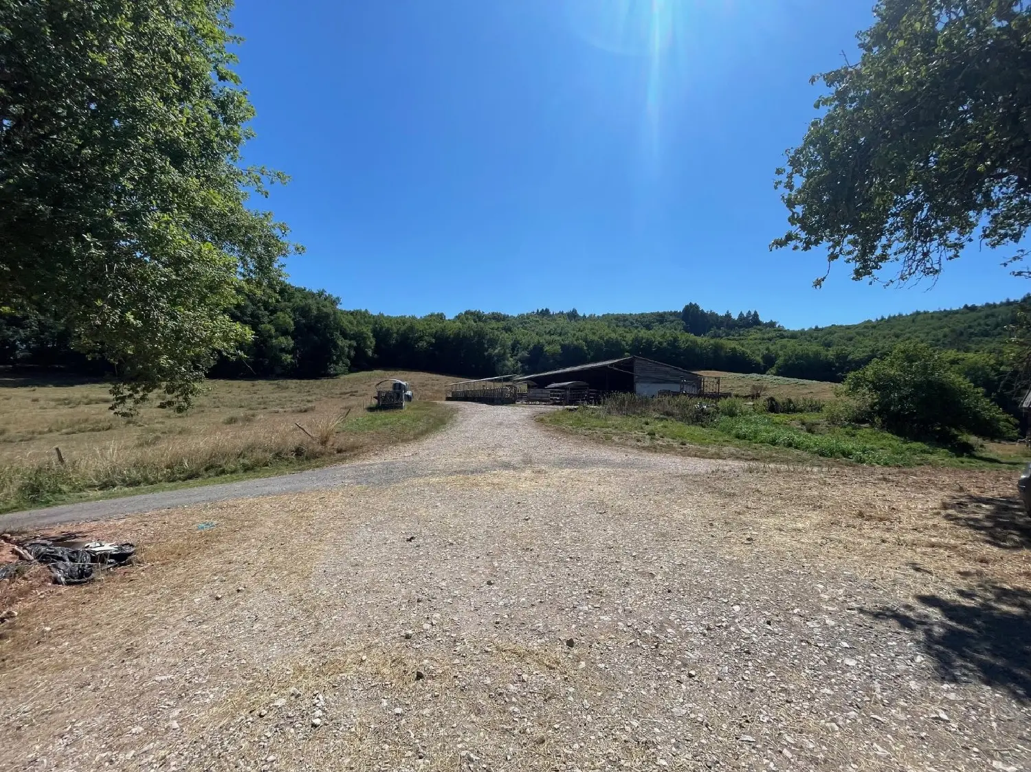  for sale farm Villac Dordogne 6