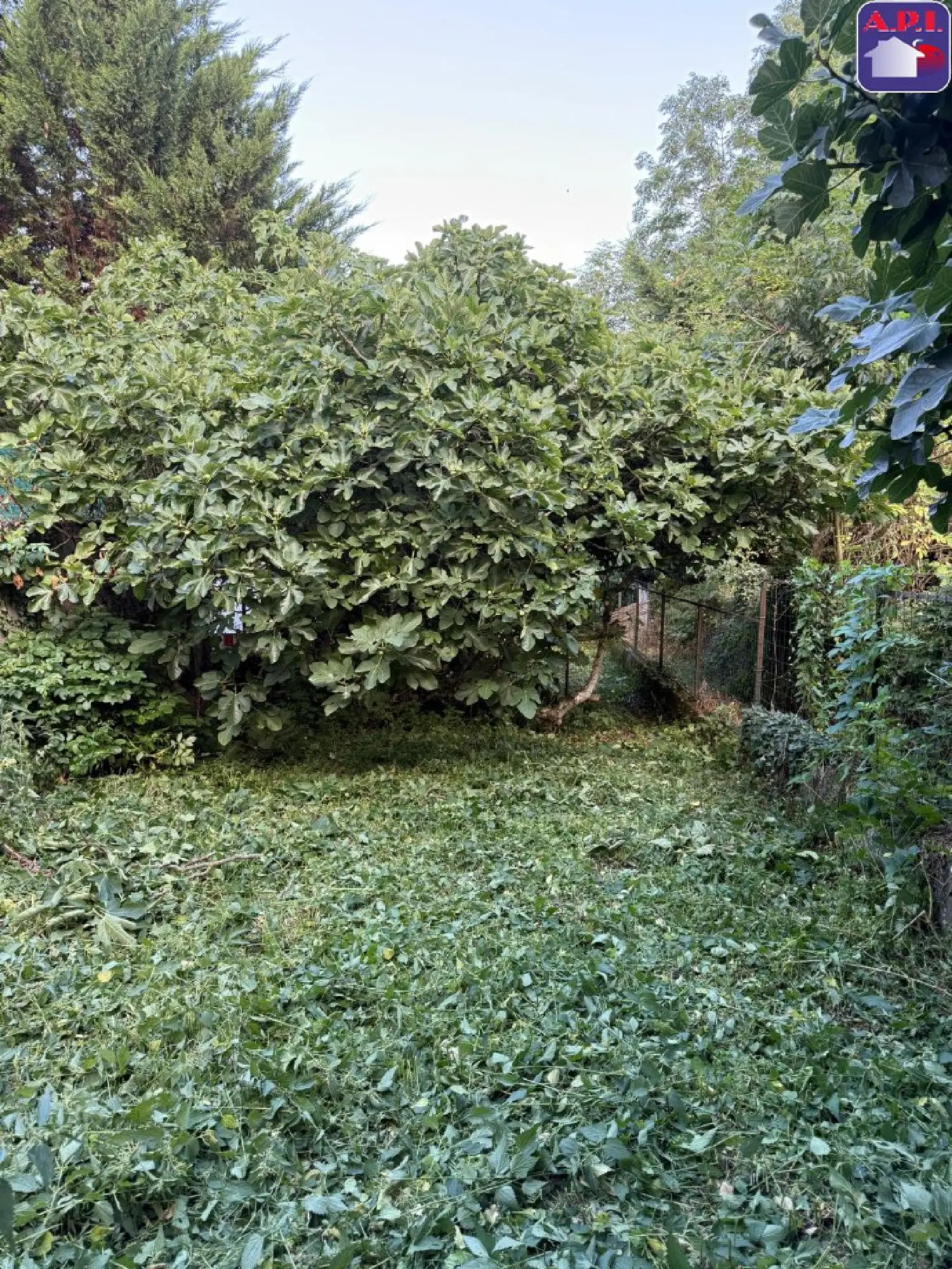  te koop huis Aigues-Vives Ariège 8