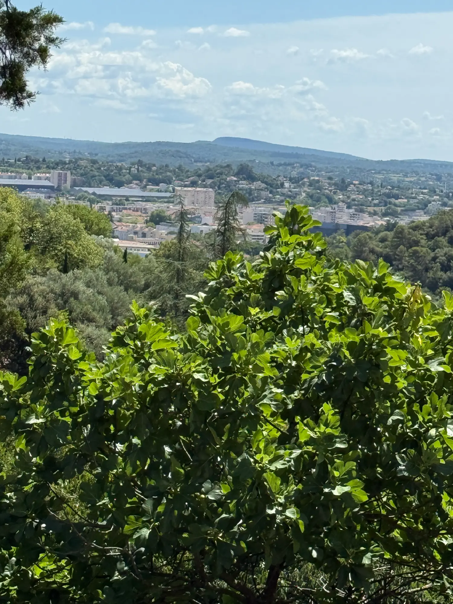  à vendre maison Alès Gard 2