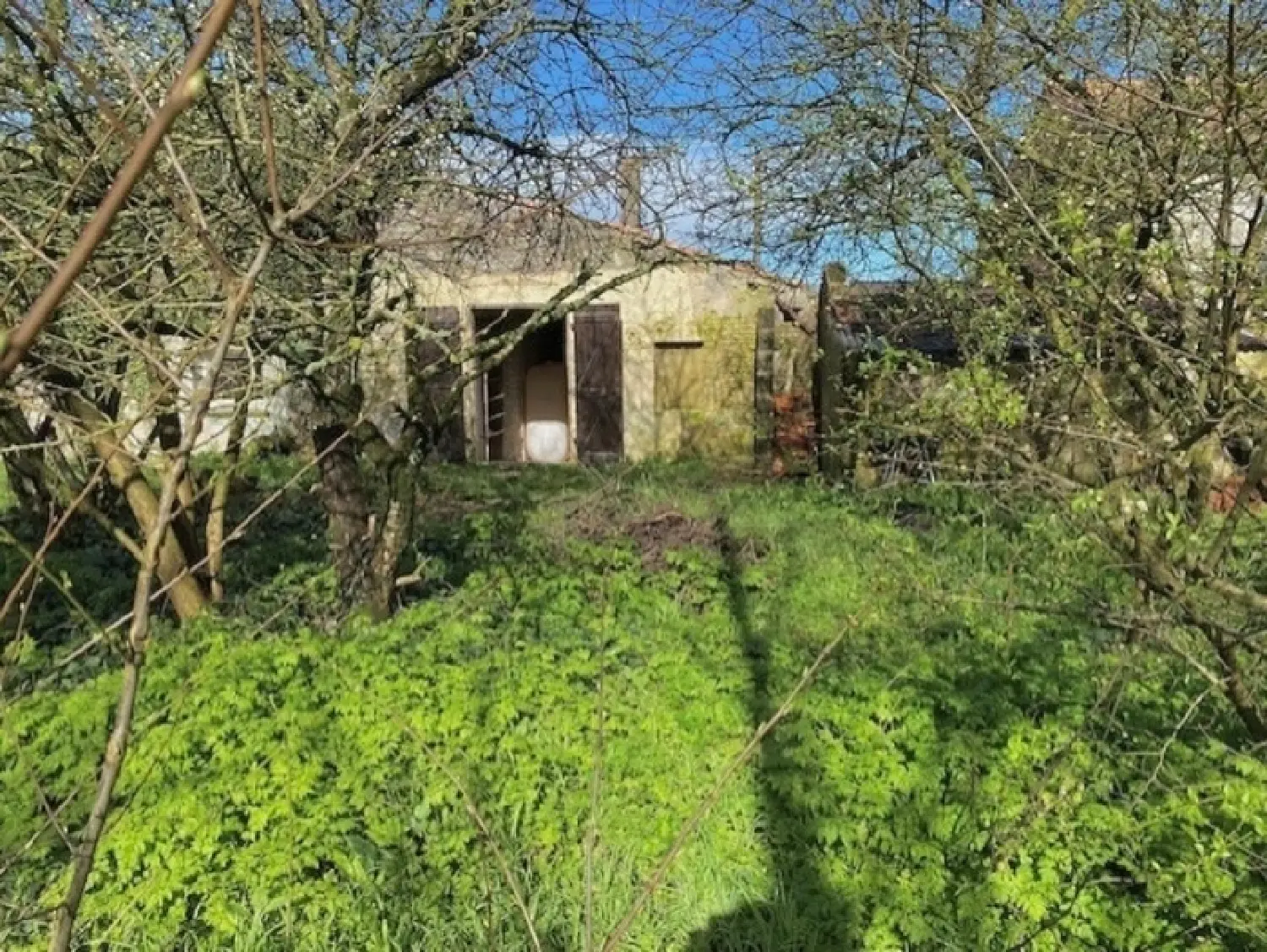  te koop huis Ardillières Charente-Maritime 4