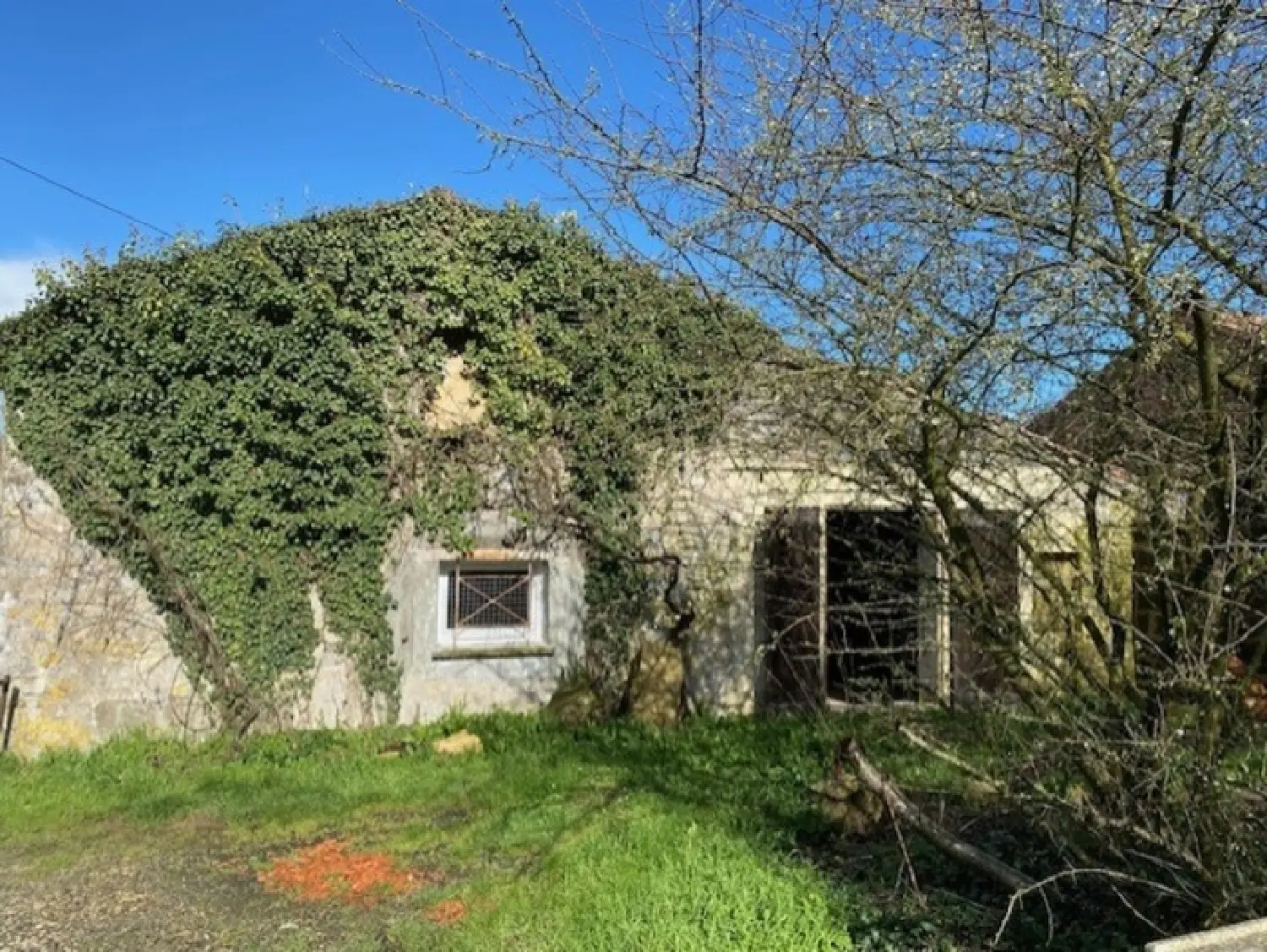  te koop huis Ardillières Charente-Maritime 7