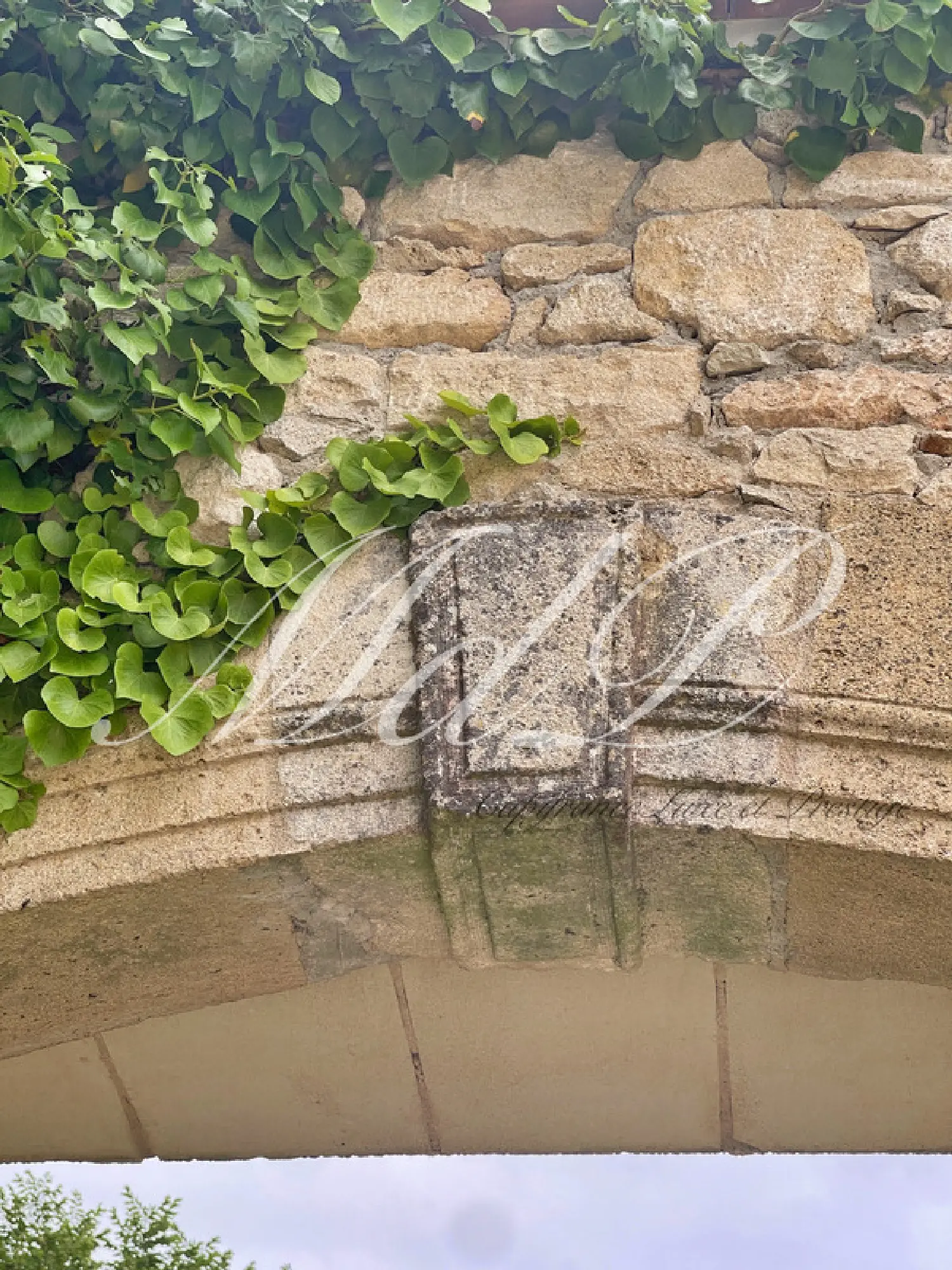  à vendre maison Asques Gironde 6