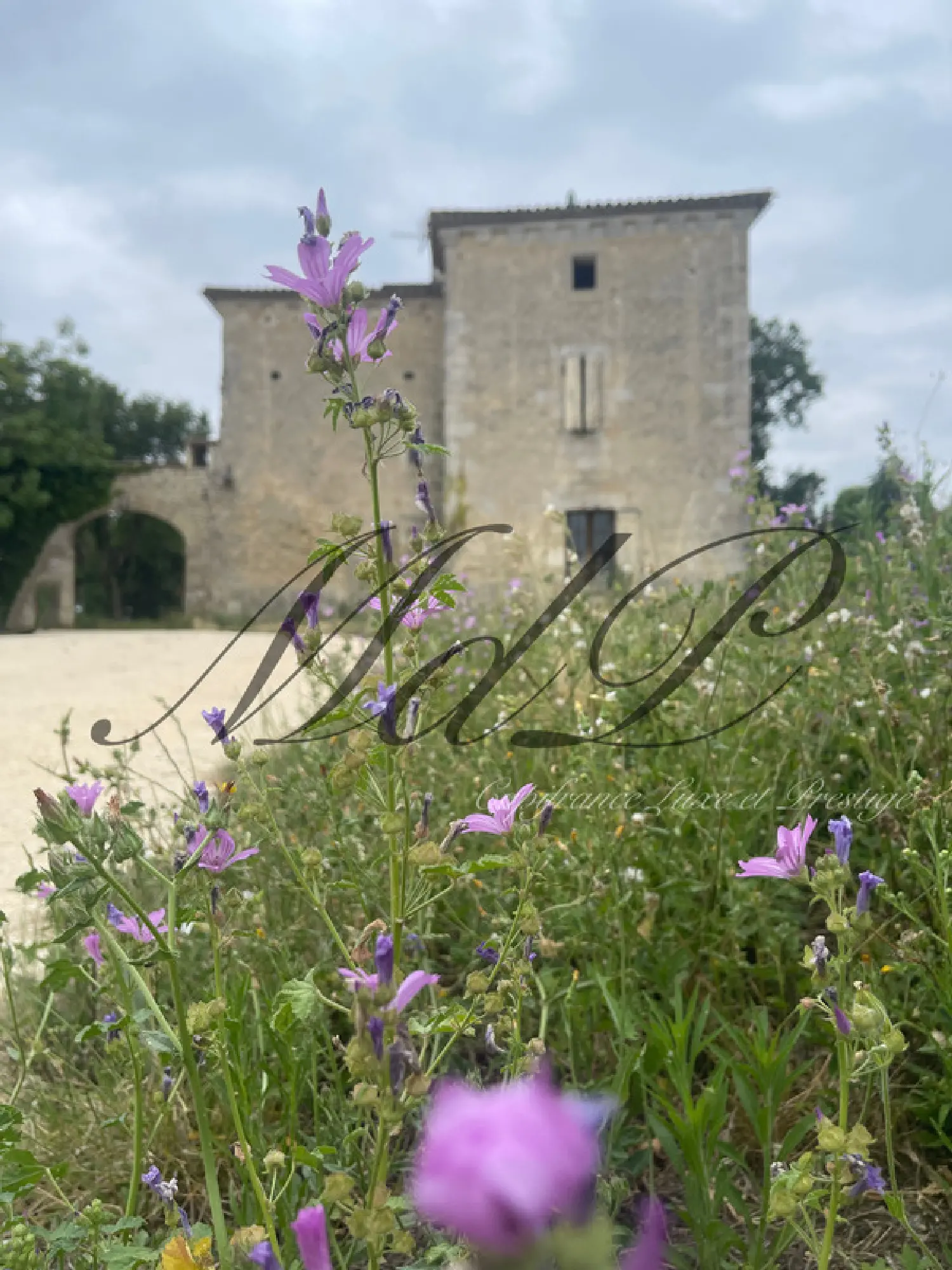  à vendre maison Asques Gironde 8