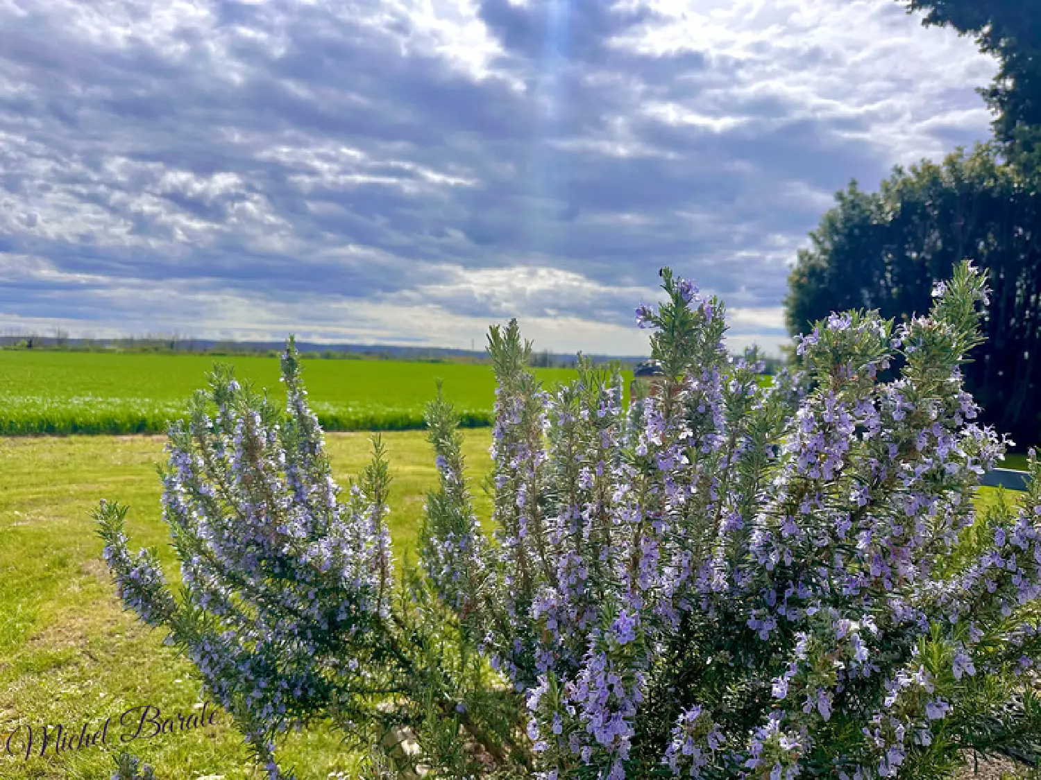  te koop huis Aubérives-sur-Varèze Isère 4