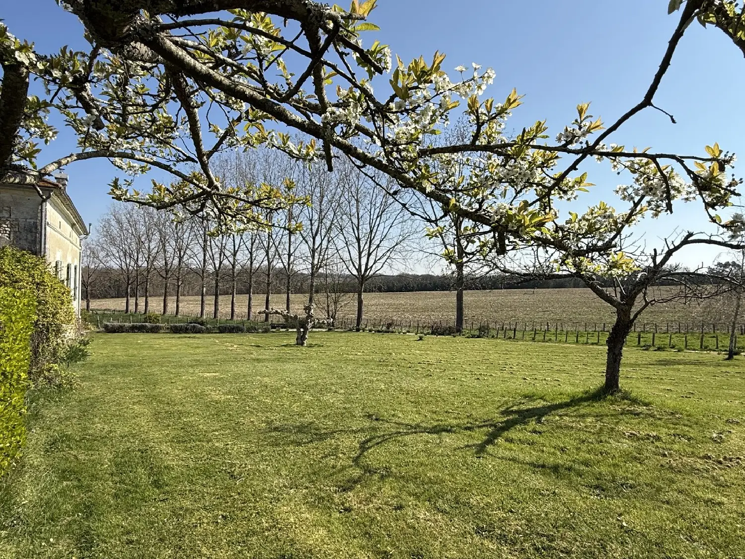  te koop huis Aubeterre-sur-Dronne Charente 5