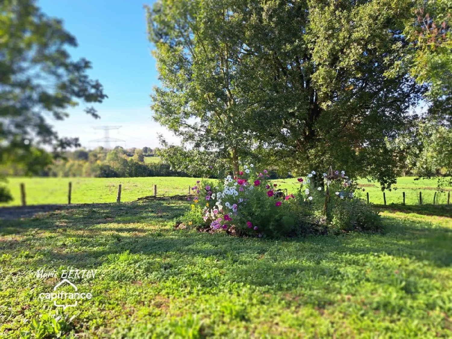  te koop huis Beaussais Deux-Sèvres 3