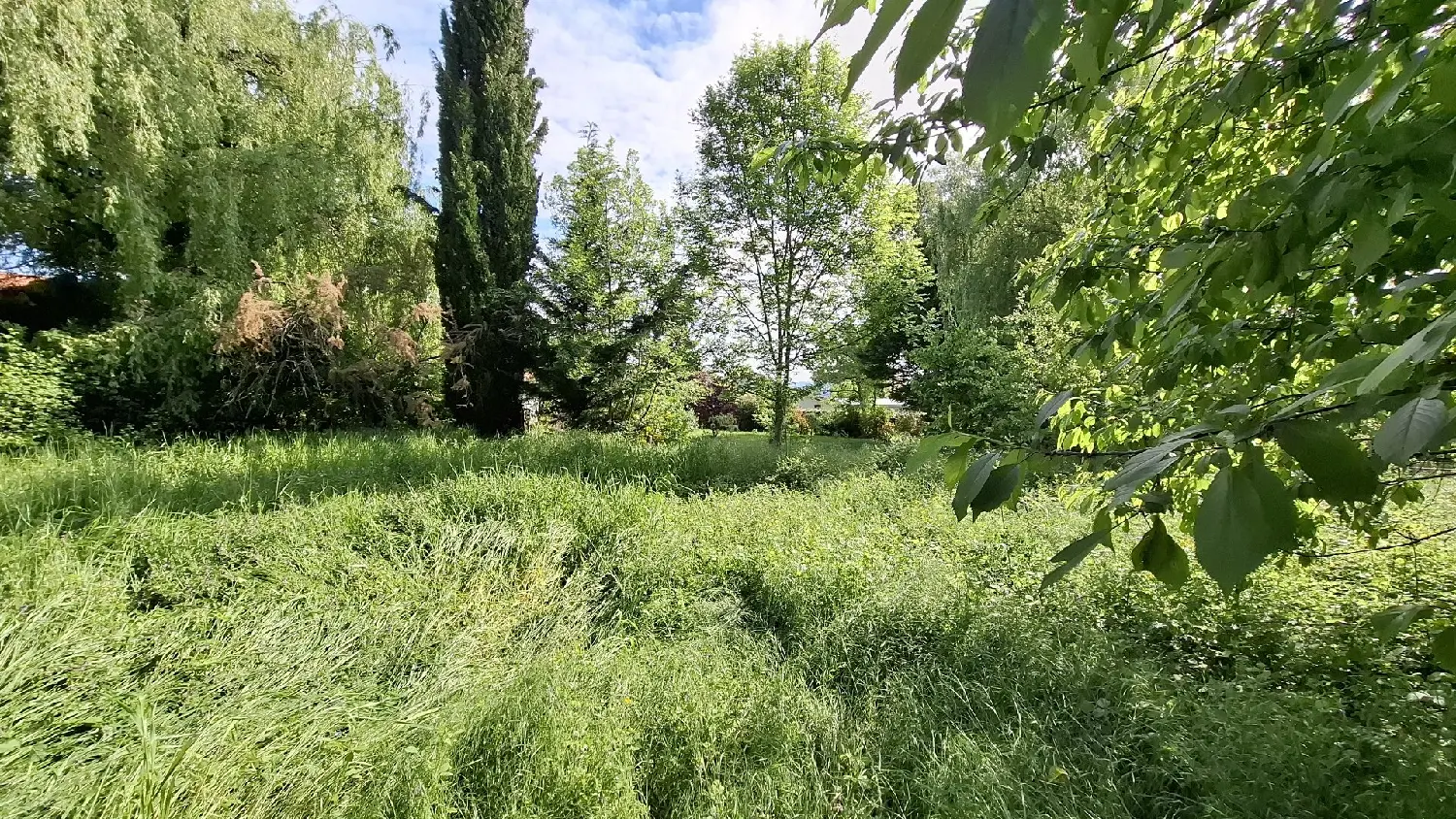  kaufen Haus Bellerive-sur-Allier Allier 2