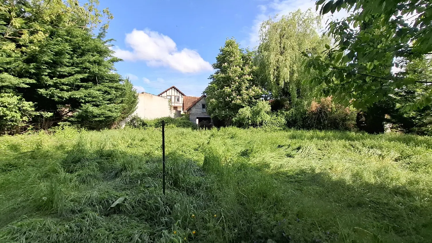  kaufen Haus Bellerive-sur-Allier Allier 3