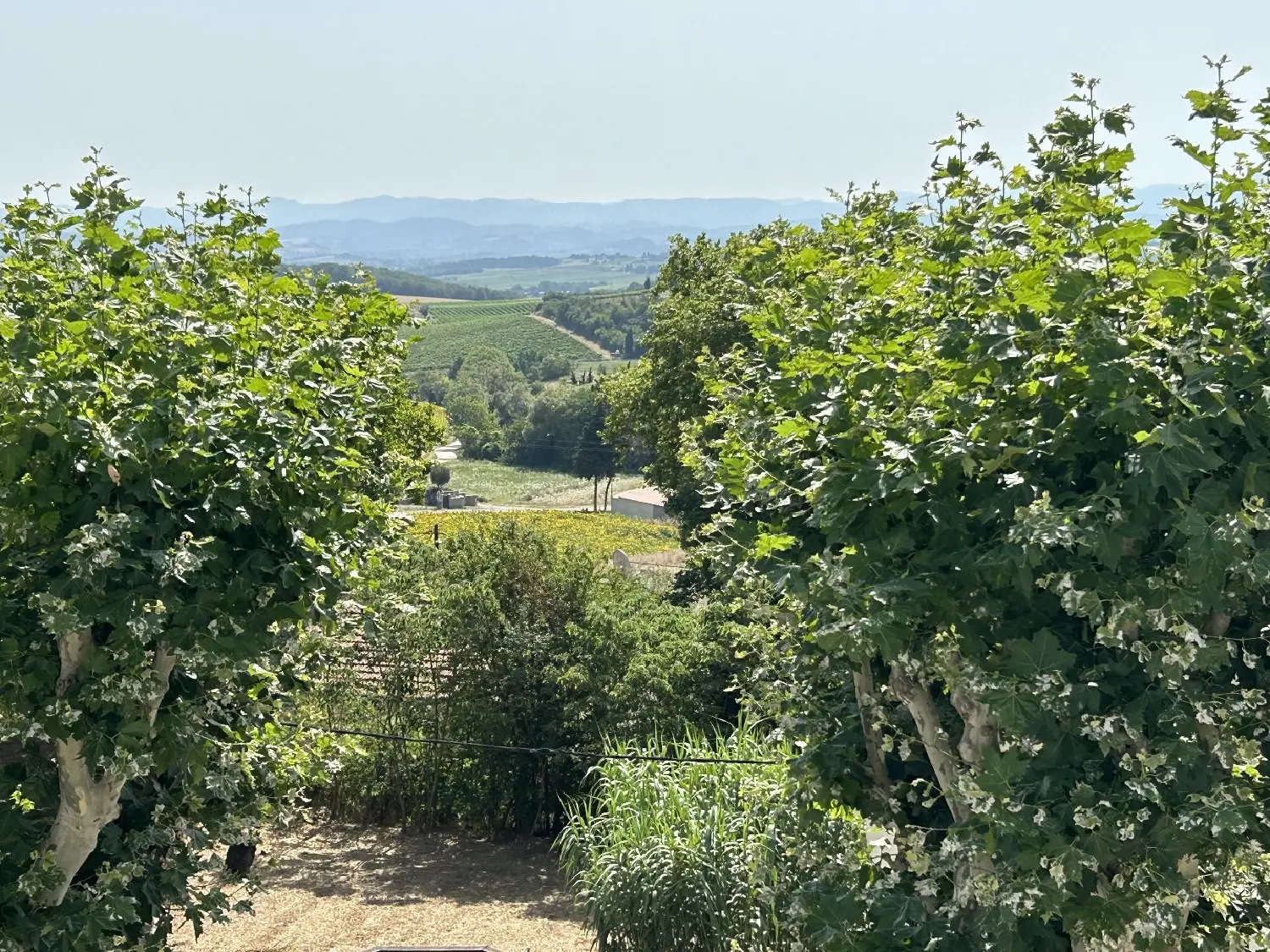  à vendre maison Belvèze-du-Razès Aude 1