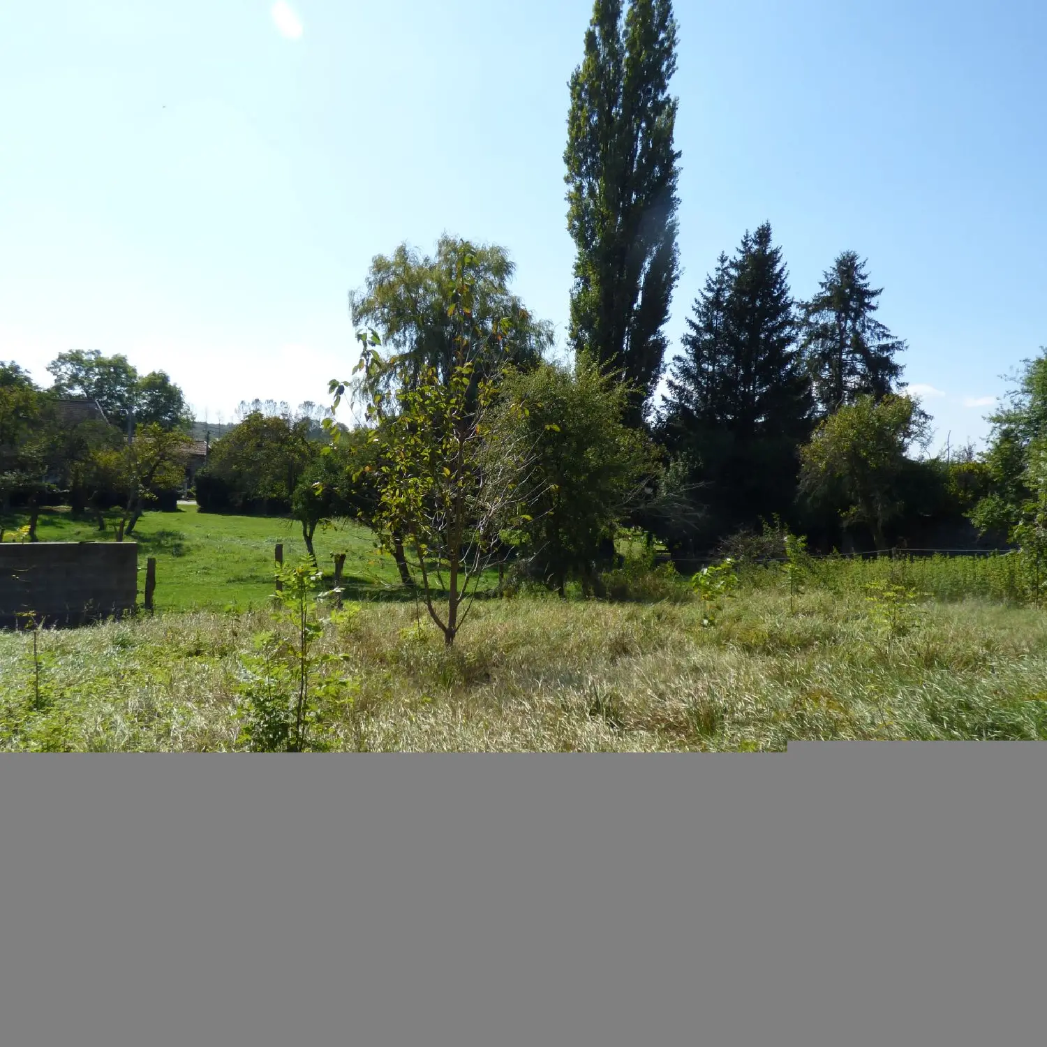  te koop huis Bénaménil Meurthe-et-Moselle 2