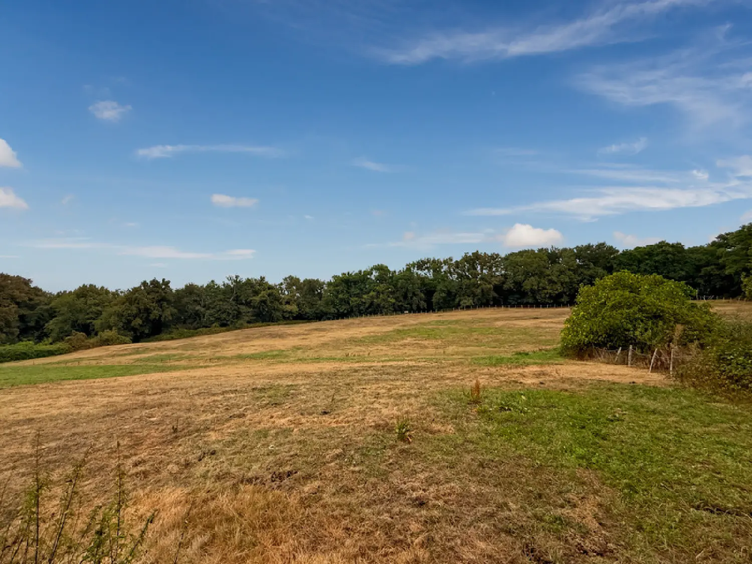  en venta casa Bernède Gers 3