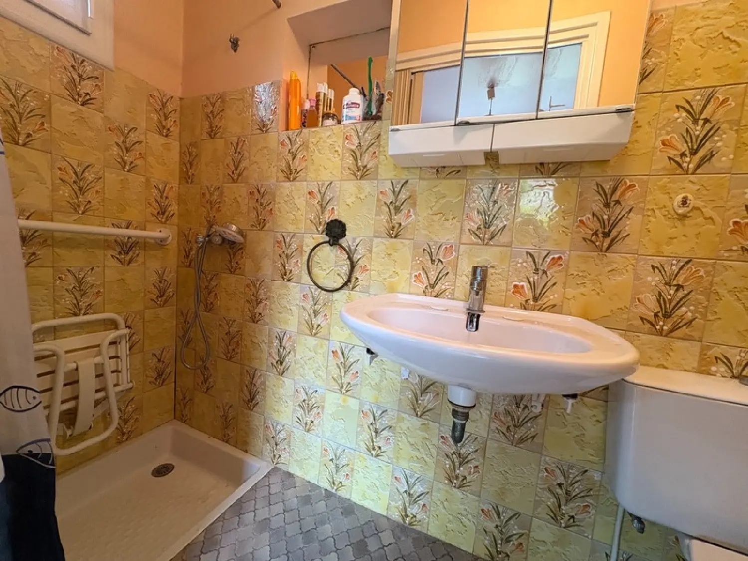  te koop huis Béziers Hérault 7